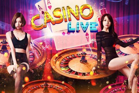 Casino BD info APP Live Casino